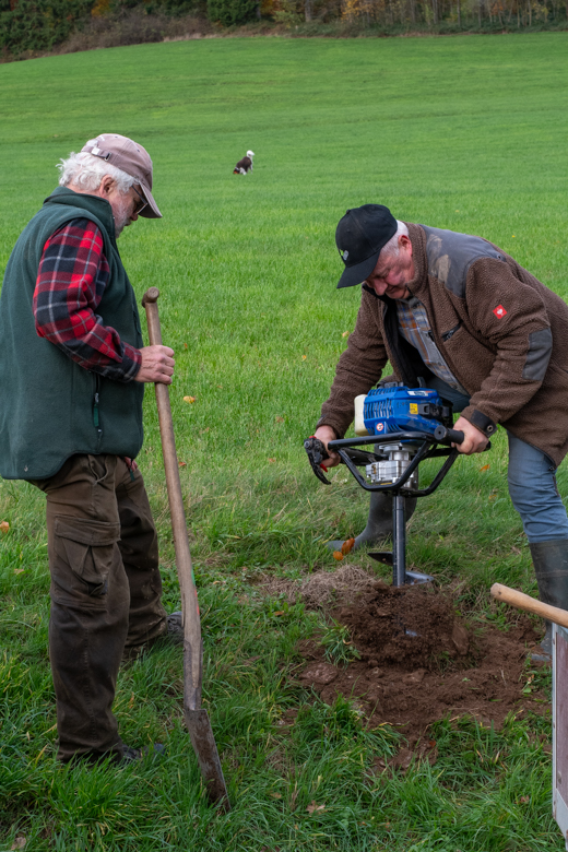 Baumpflanzaktion Salwey