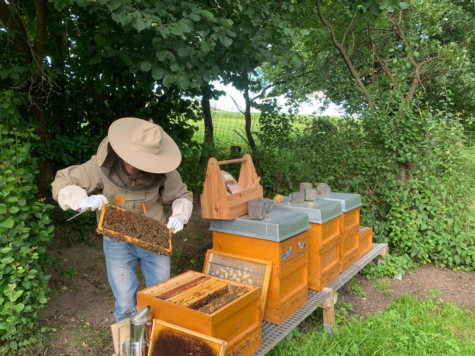 Echter Salweyer Honig – regional, natürlich & unverfälscht