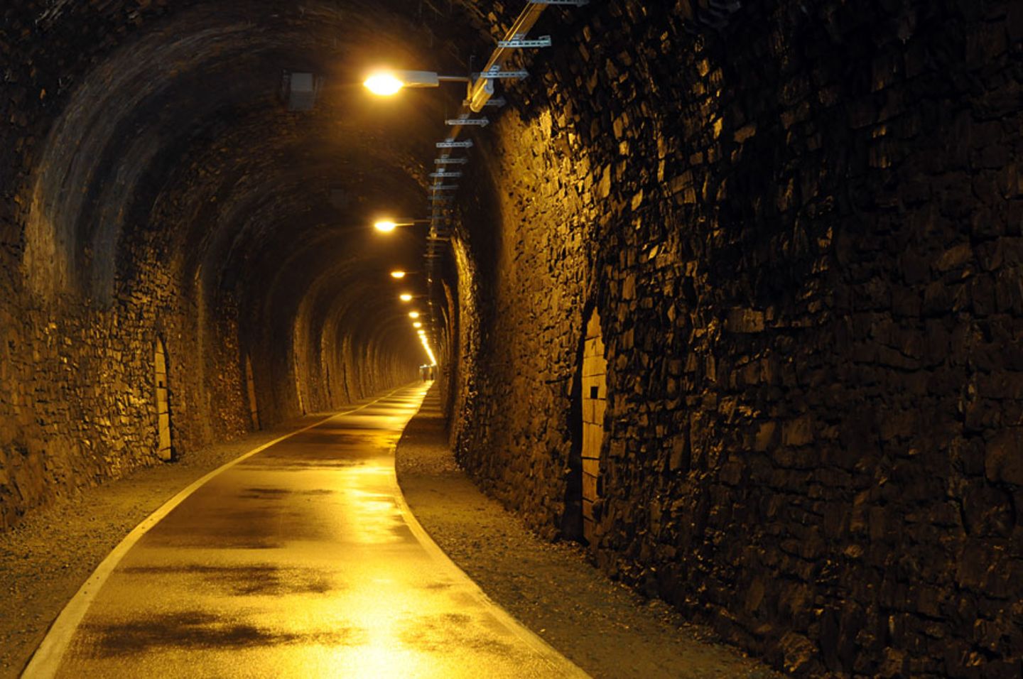 Kückelheimer Tunnel schließt für den Winterschlaf der Fledermäuse