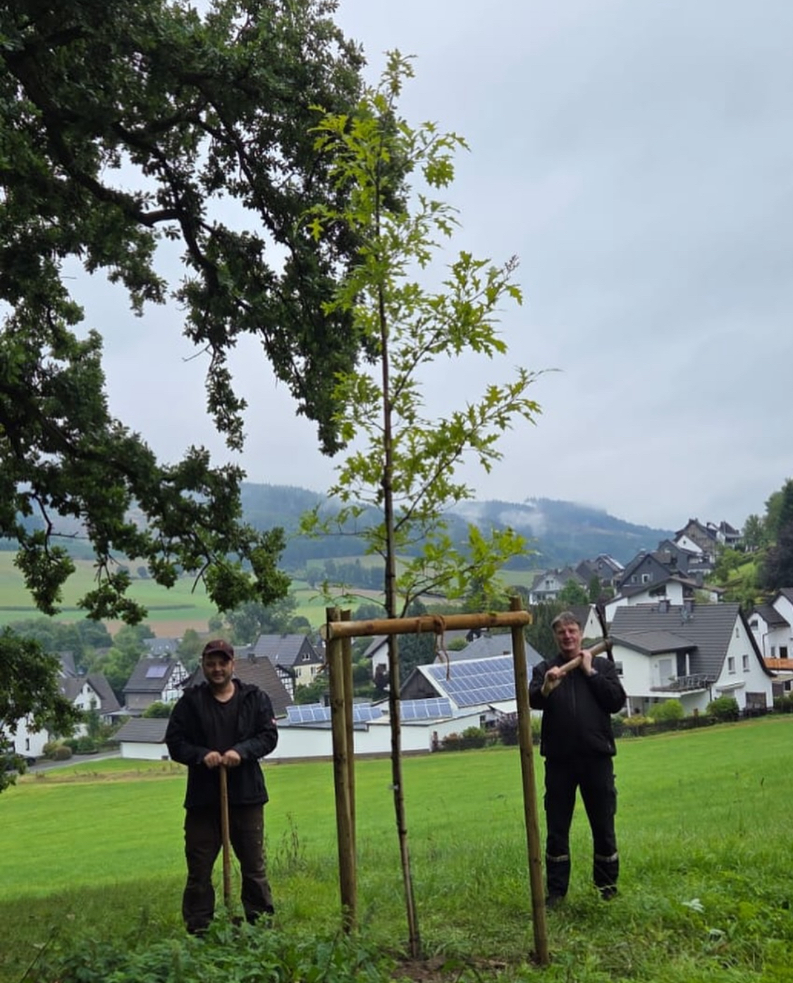 Baumpflanz-Challange erreicht das Salweytal