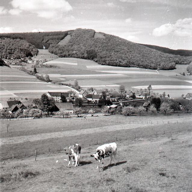 Blick auf