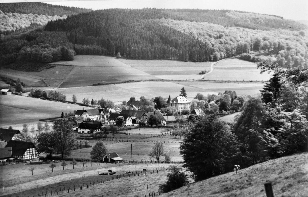 Historische Aufnahme aus dem Salweytal